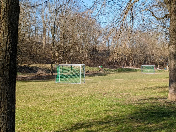 several small soccer nets line a grassy field