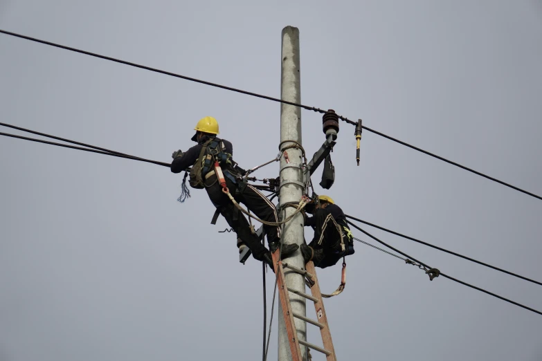 three workers climbing up the side of a telephone pole