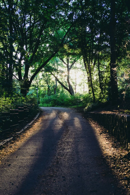 the sun is shining through the trees on this road