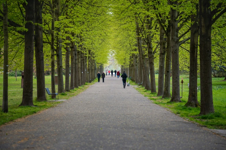 people walking down a sidewalk next to trees