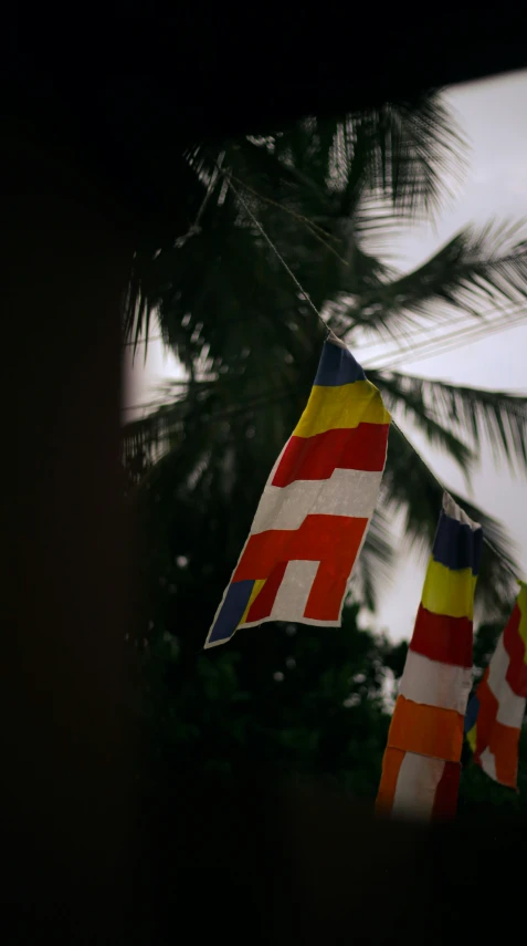 a kite with several colors and a palm tree behind it