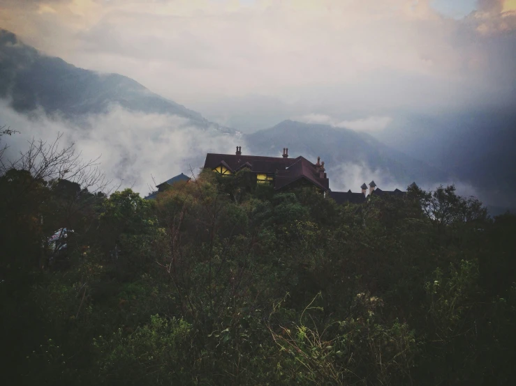 the house is perched in a hill near trees