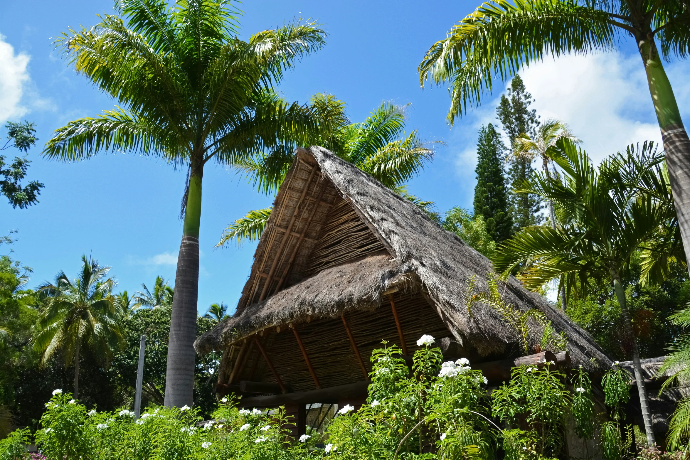 a hut sits between two palm trees and surrounded by foliage