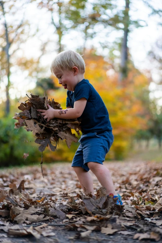 the child is playing with his leaves in the leaves