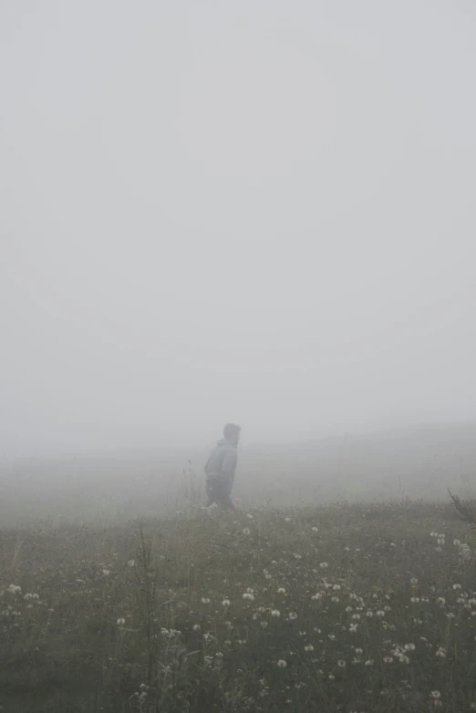 a person walking through the fog in a field of wild flowers