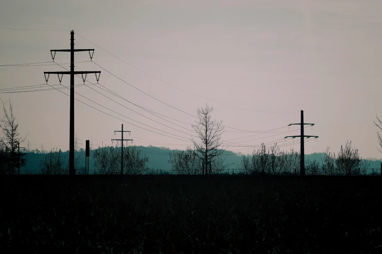 silhouettes of trees in an area with lots of power lines