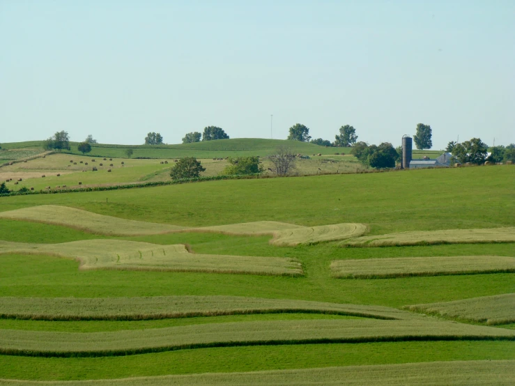 a green field with many bales of grass