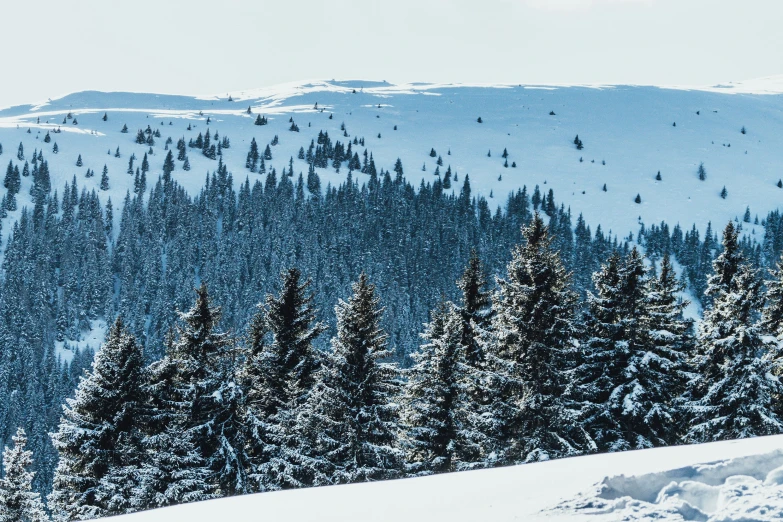 a man riding skis down the side of a snow covered slope