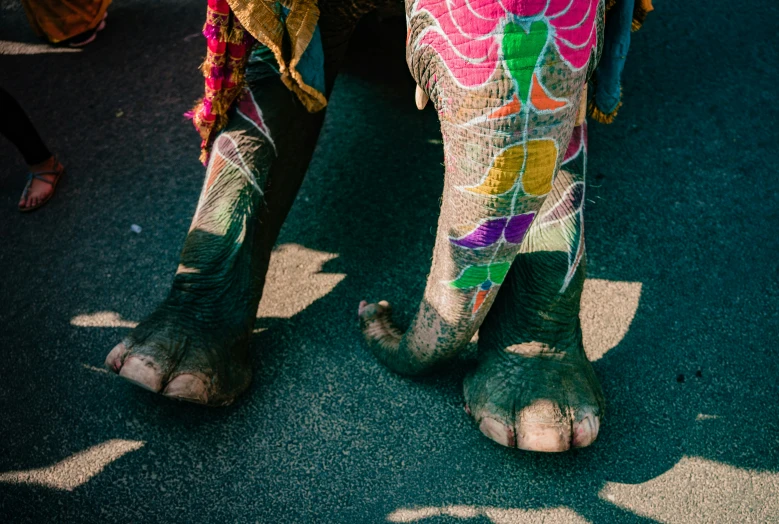 an elephant with flowered designs on its legs