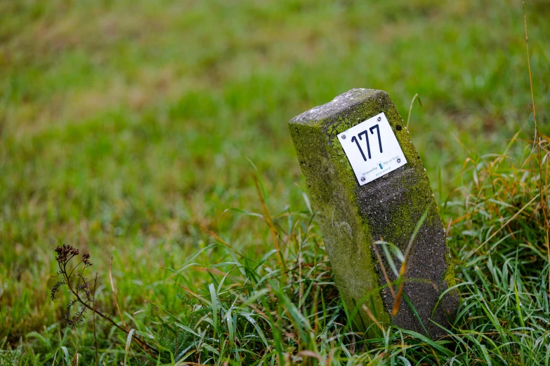 a grassy area with a small monument sitting among tall grass