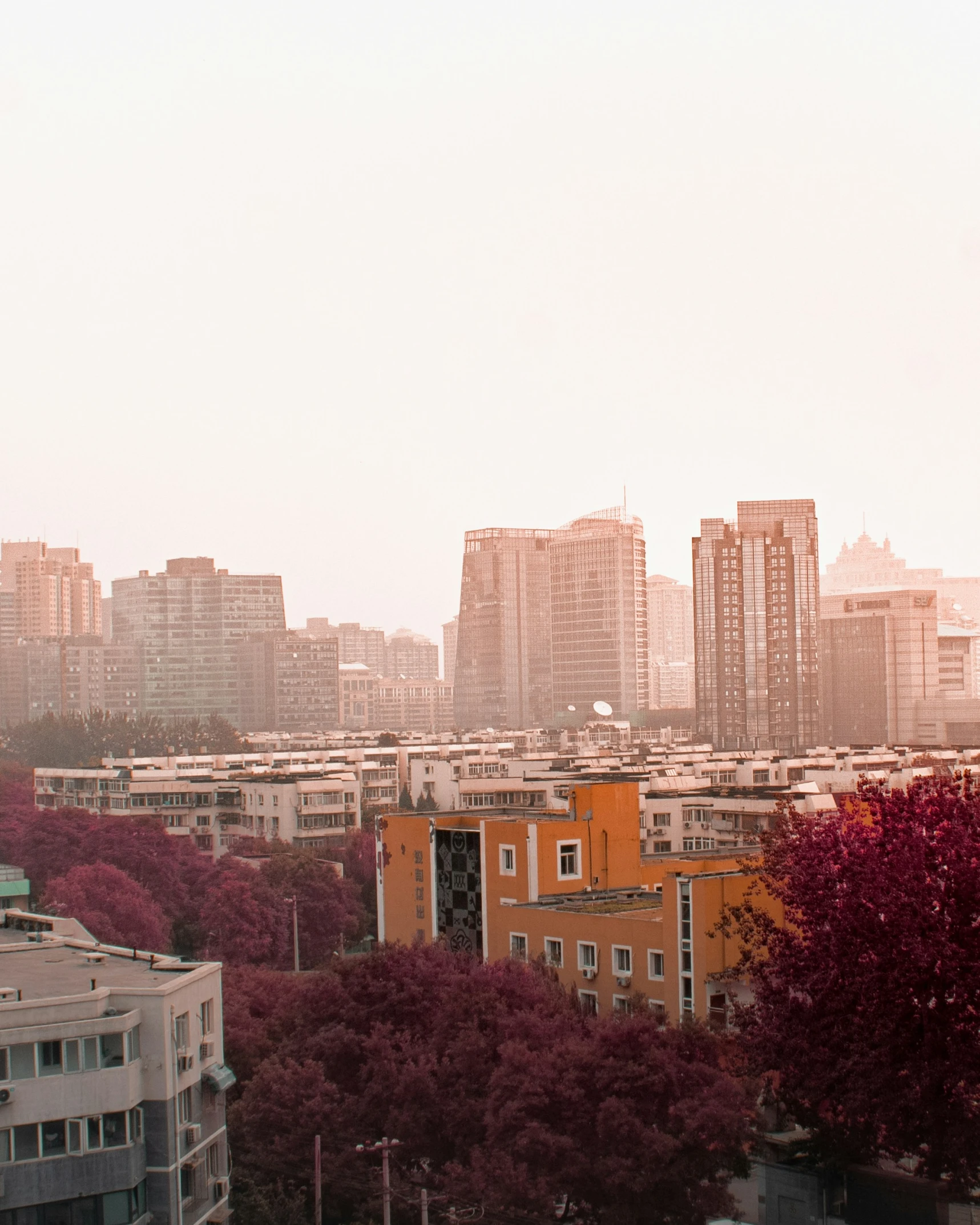 an image of buildings with red foliage in the foreground