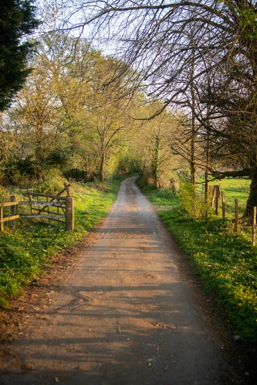 a trail next to a field in the distance