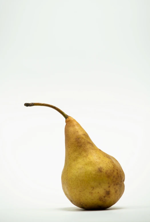 a single pear with long stem against a white background