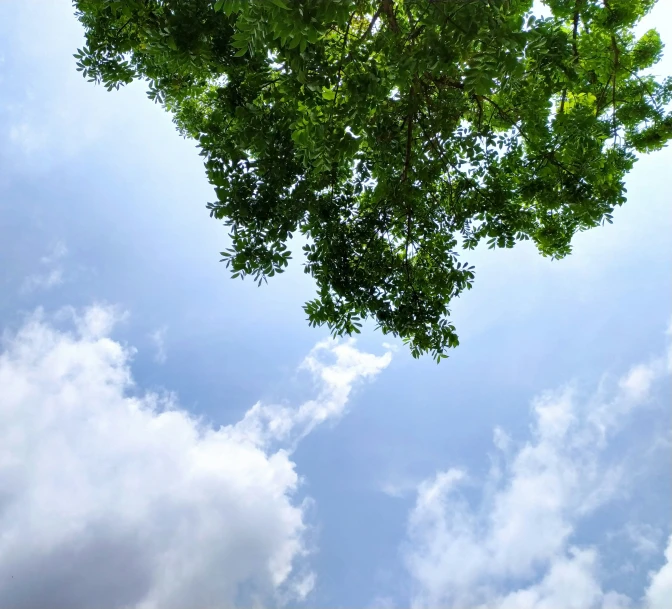 a clock in the shape of a heart at the top of a tree