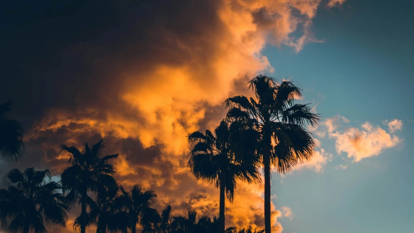 the sunset with lots of clouds and palm trees