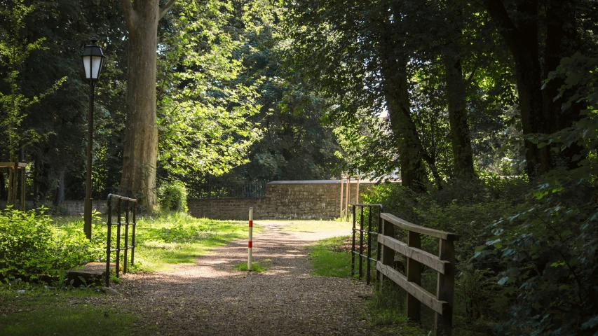 a wood pathway leading to a park bench and gate