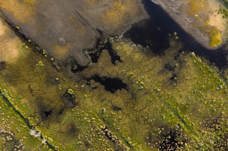 an aerial po of a grassy area near water