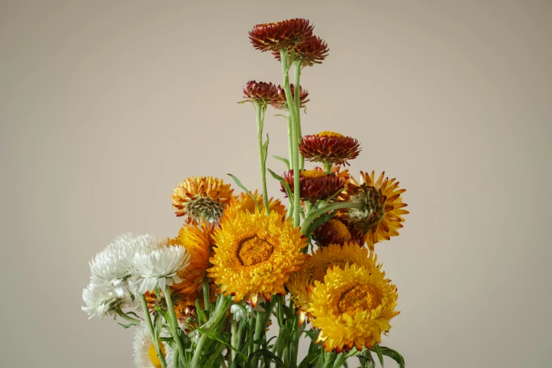 a close up of a vase with flowers inside