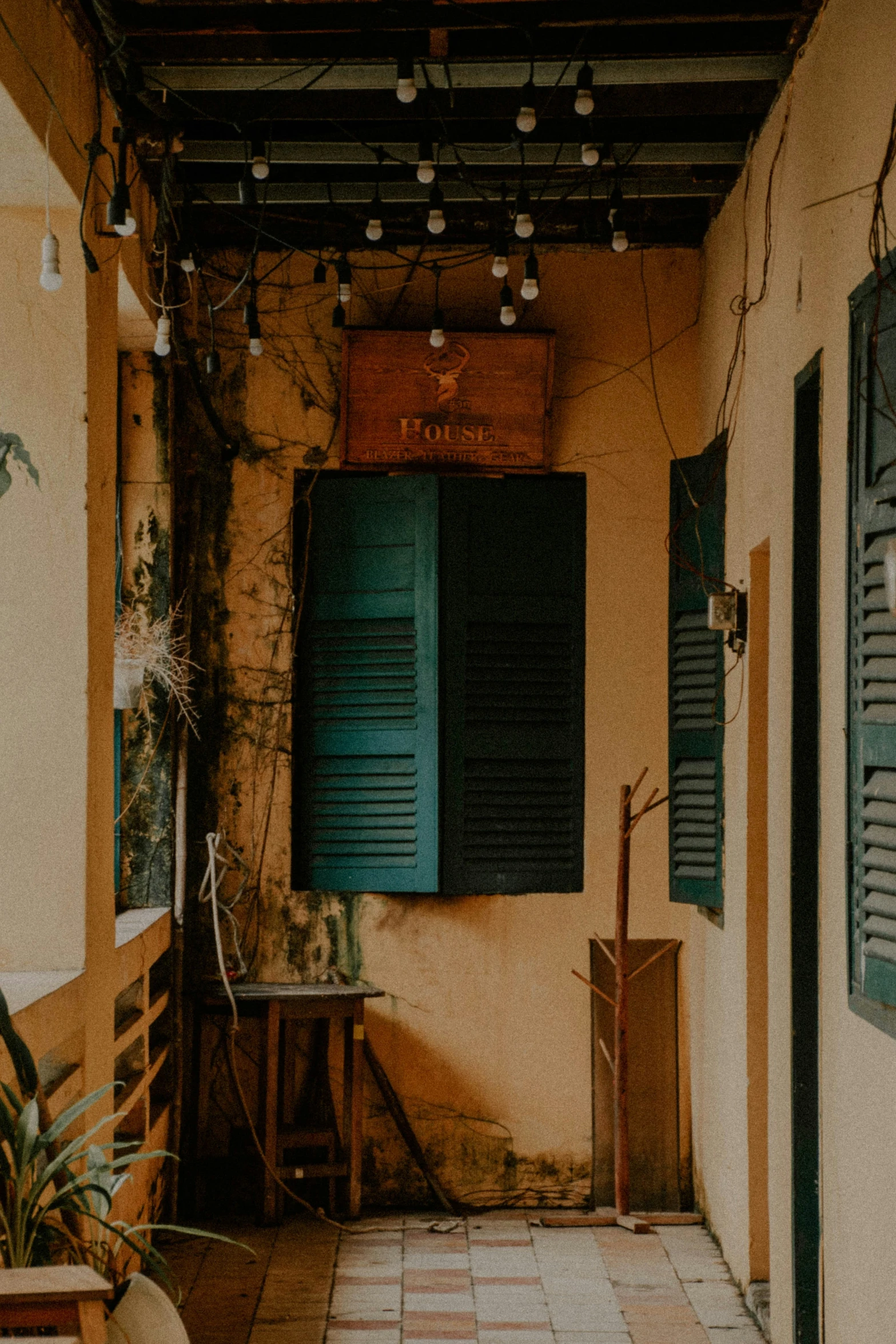 an outdoor area with some plants and shutters