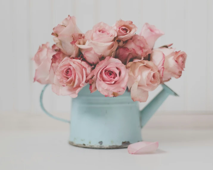 the beautiful bouquet of pink roses are in the turquoise watering can