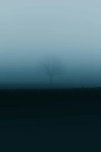 a lone tree stands in a dark field