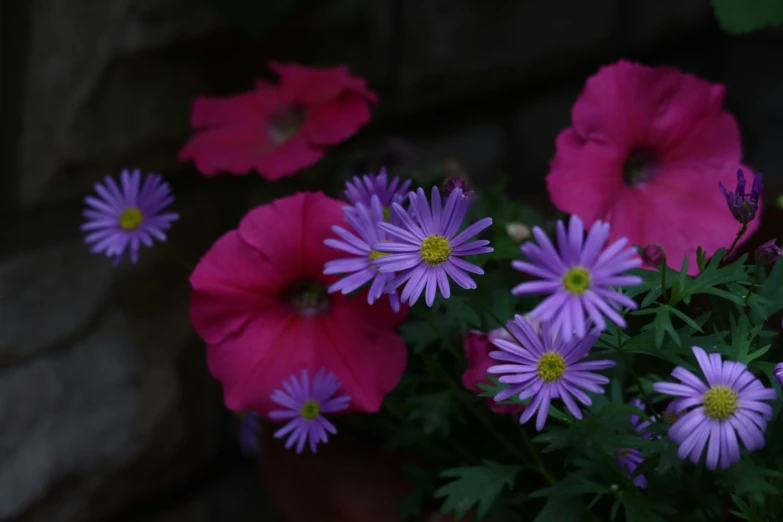 flowers are sitting in a pot near rocks