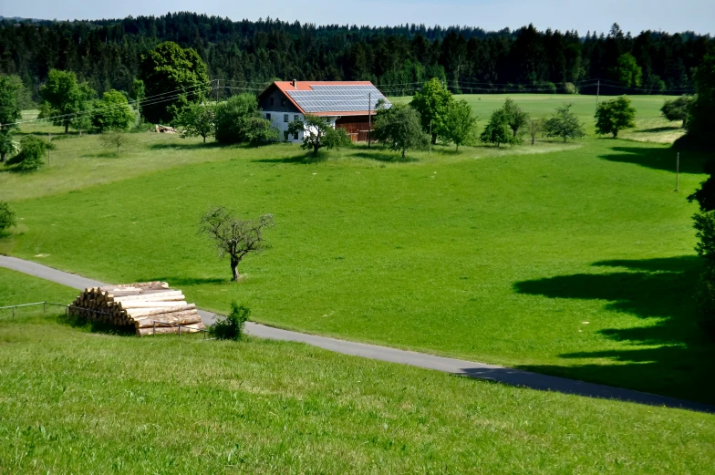 there is a green field that has many trees