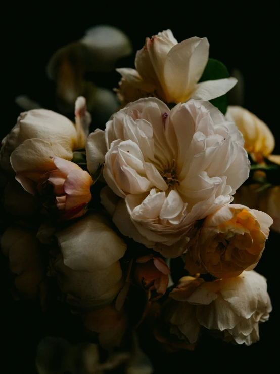 a close up of a large group of flowers