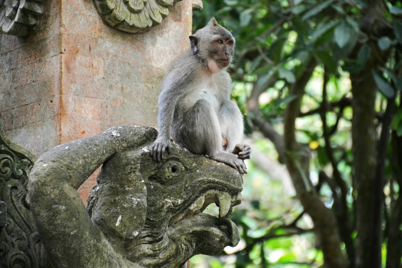 a monkey sitting on the top of a statue