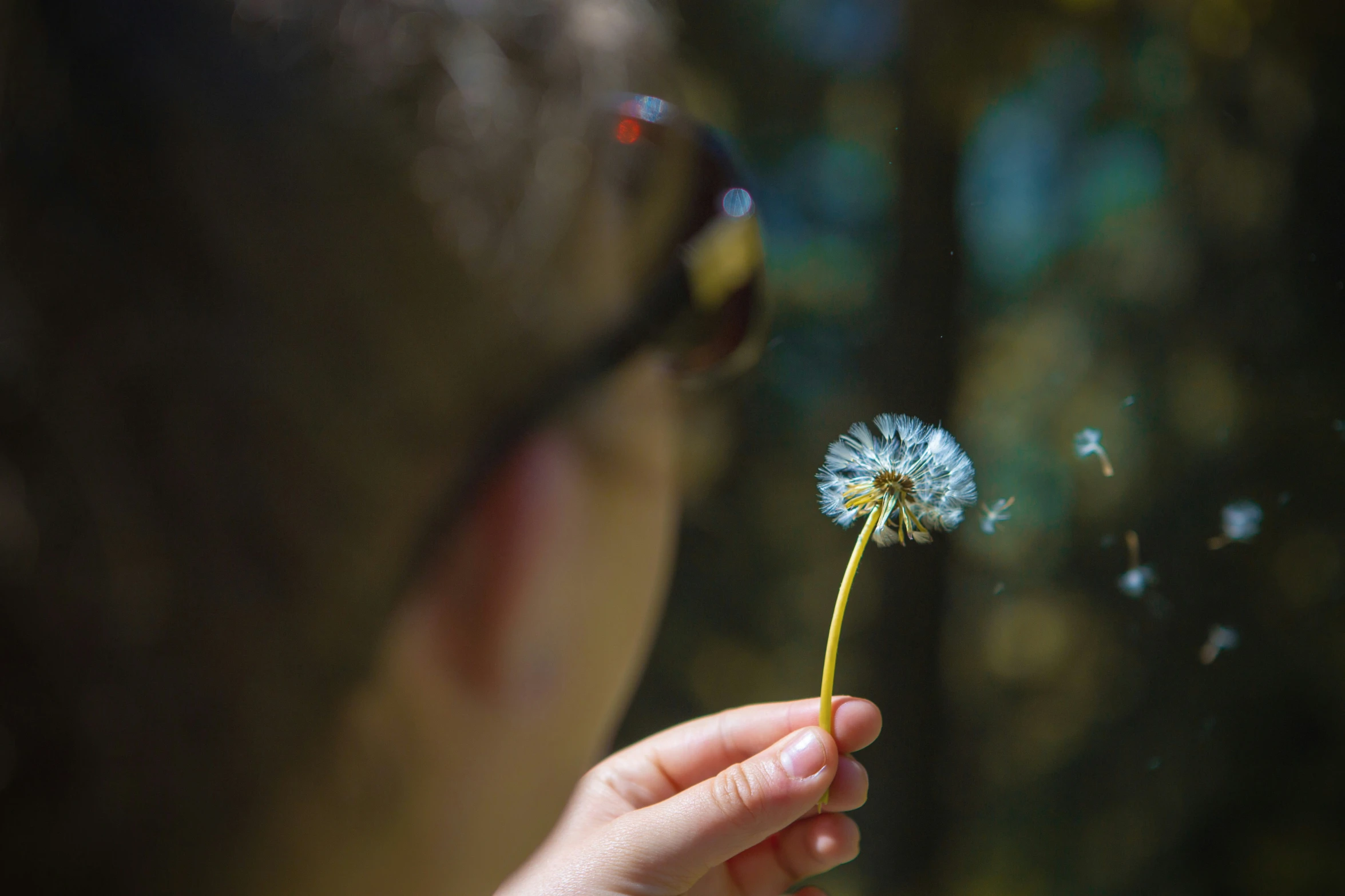 a person that is holding a small flower in their hand