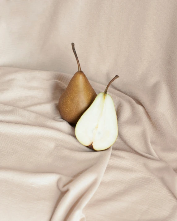 an apple and pear slices are placed on a soft fabric