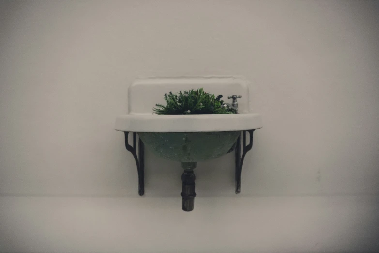 a small green plant is sticking out of a sink