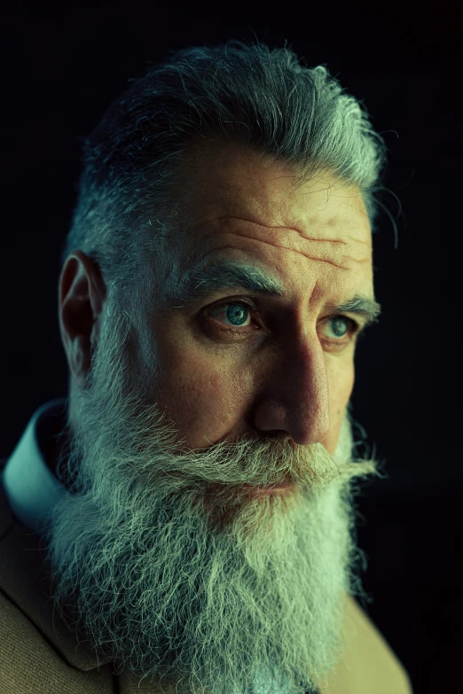 a man with a long white beard and grey hair
