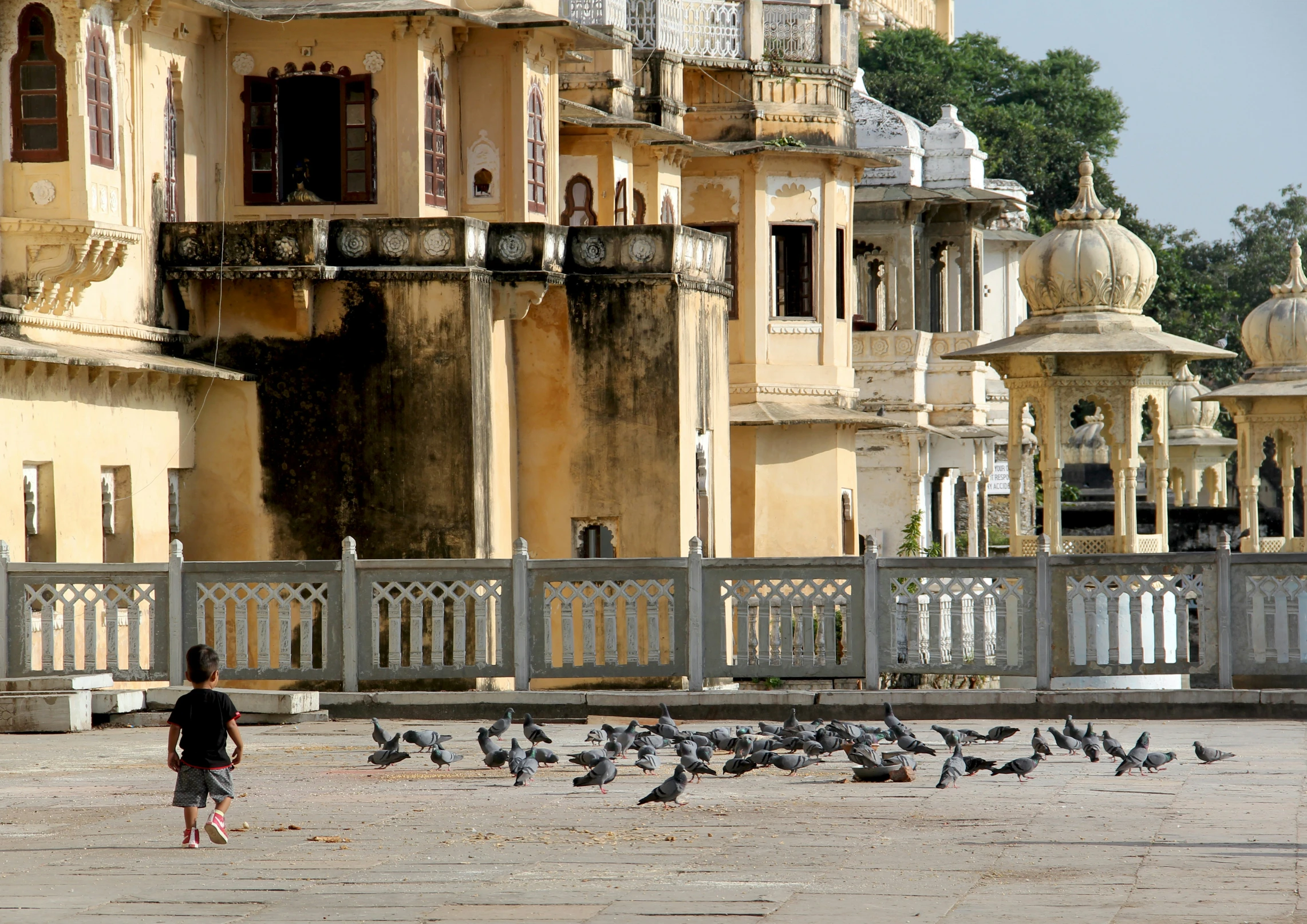 a boy watches pigeons in front of a row of buildings