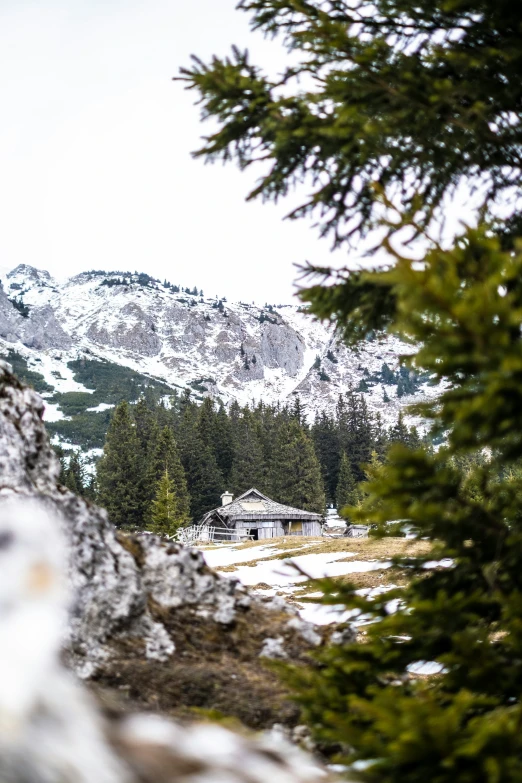 a mountain with a small cabin surrounded by evergreens