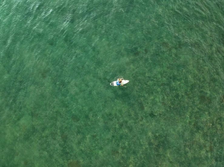 aerial view of a lone person floating on a surf board in the ocean