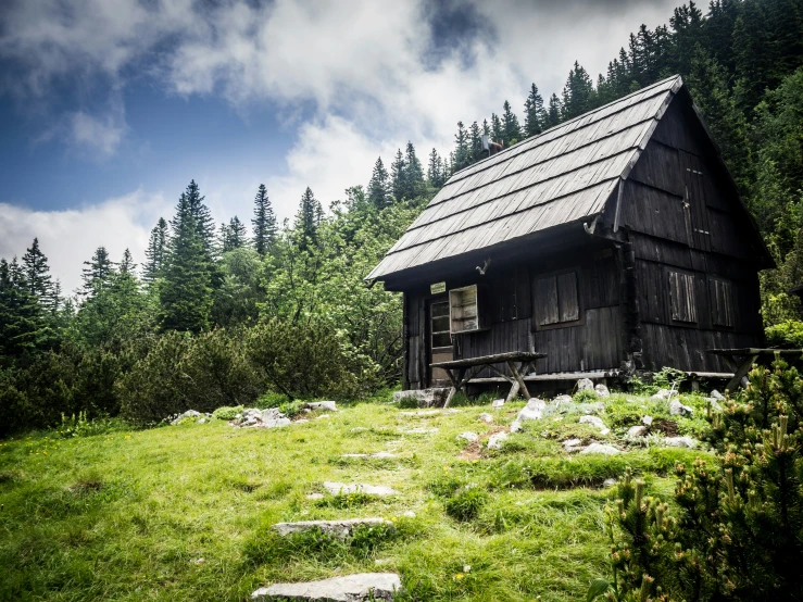 a small shack stands in the middle of a wooded area