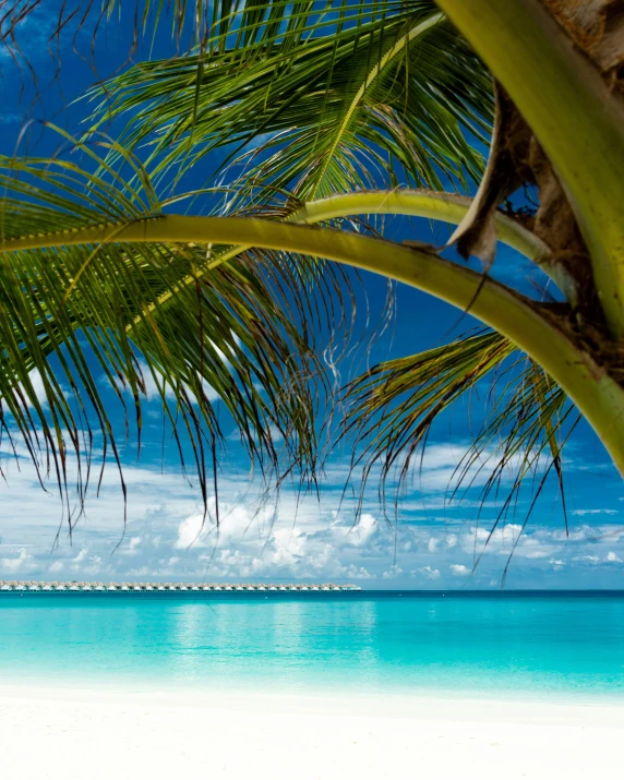 a tropical scene with the turquoise water and white sand