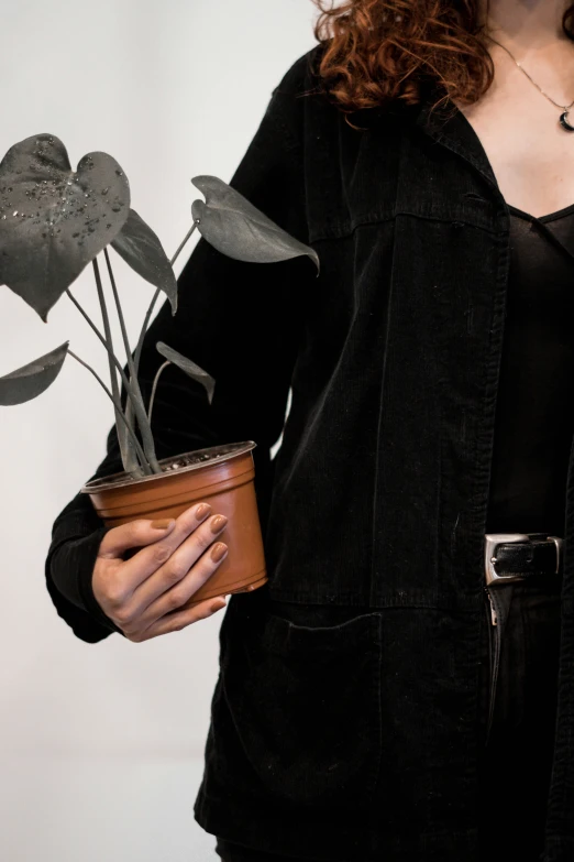 a woman is holding out a potted plant