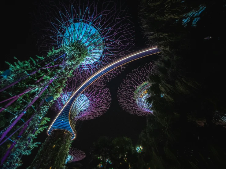 a view of the trees at night with lights