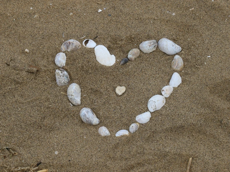 a heart made from shells and rocks on the beach