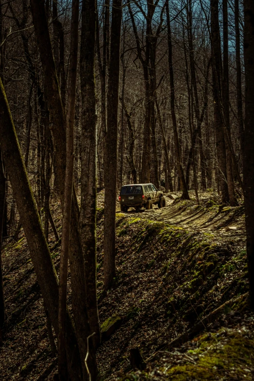 a truck driving through the woods on its way to the park