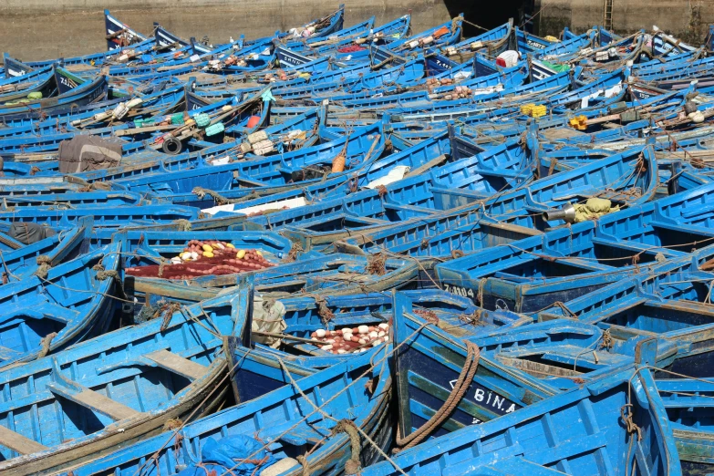 a large group of boats are sitting close together