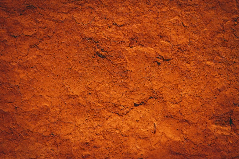a light brown area with little dark spots