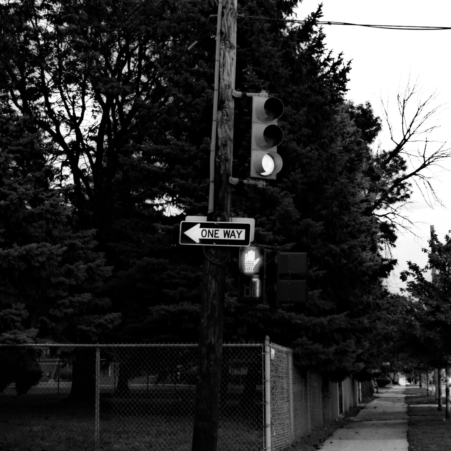 street light at the corner of west and oak street