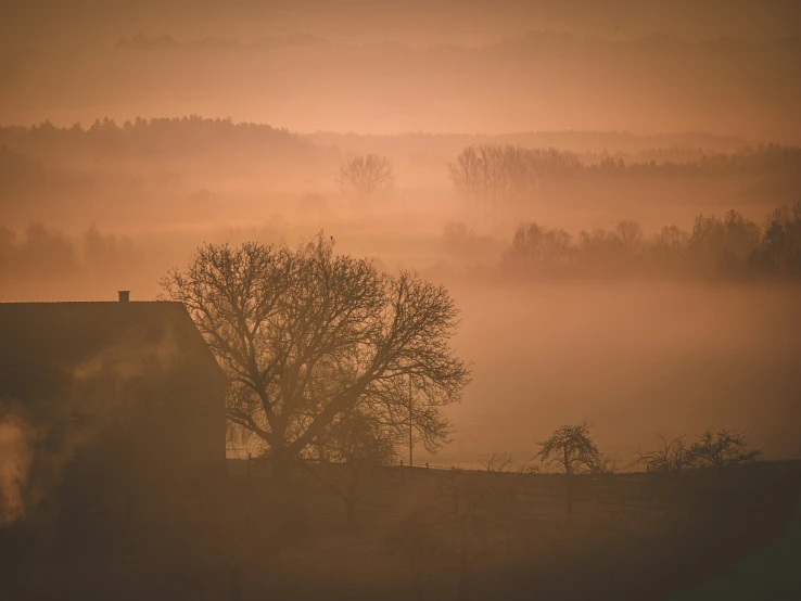 brown foggy morning with a small house in the foreground