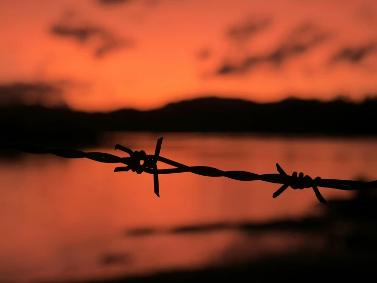 a barbed wire fence against an orange sunset