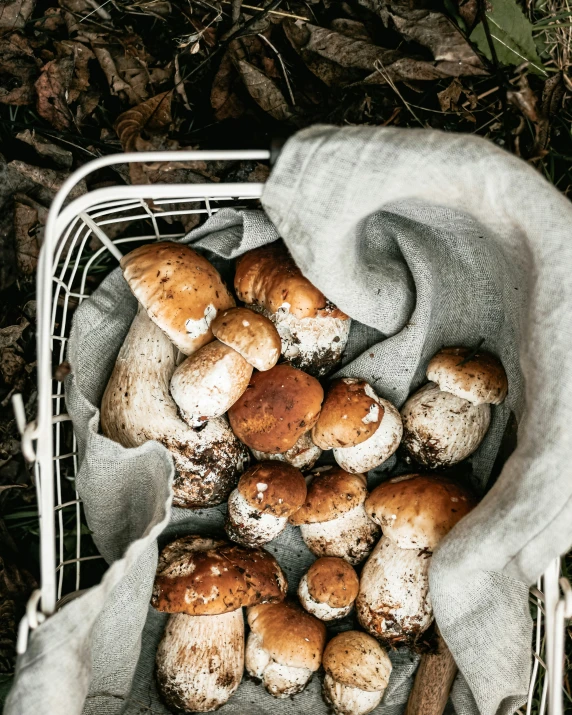 the mushrooms are sitting in a small basket