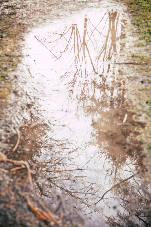 a stop sign sits on wet and grassy ground