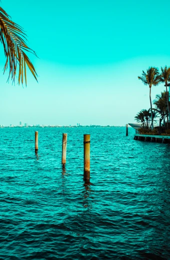 the view of a body of water and three poles with palm trees
